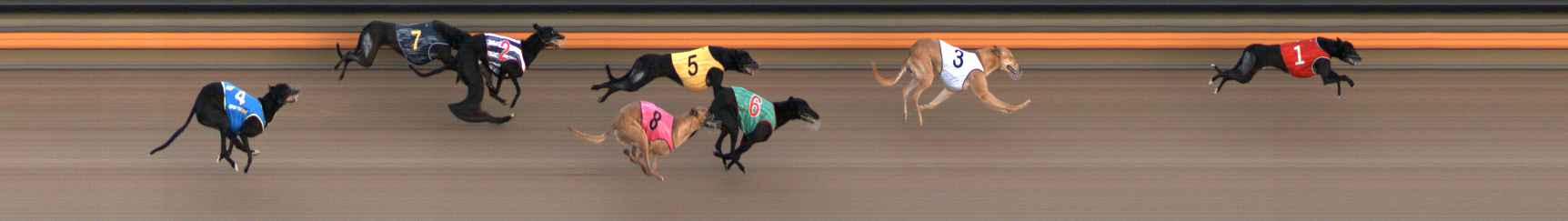 Photo finish for Ballarat Race 7