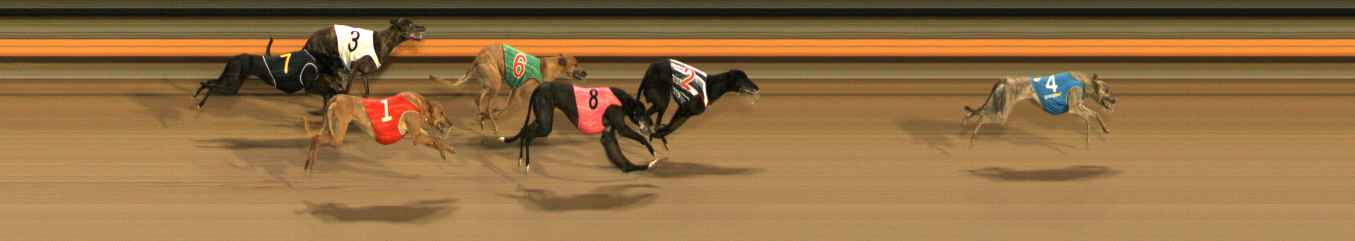 Photo finish for Ballarat Race 8