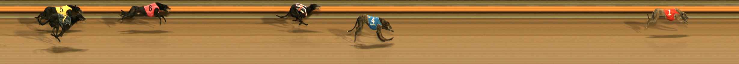 Photo finish for Ballarat Race 9