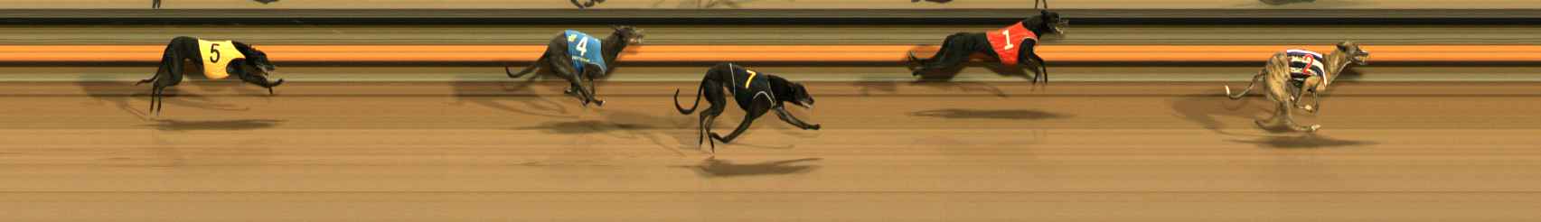 Photo finish for Ballarat Race 10