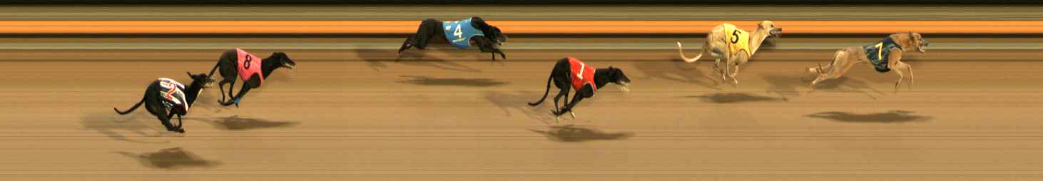 Photo finish for Ballarat Race 12