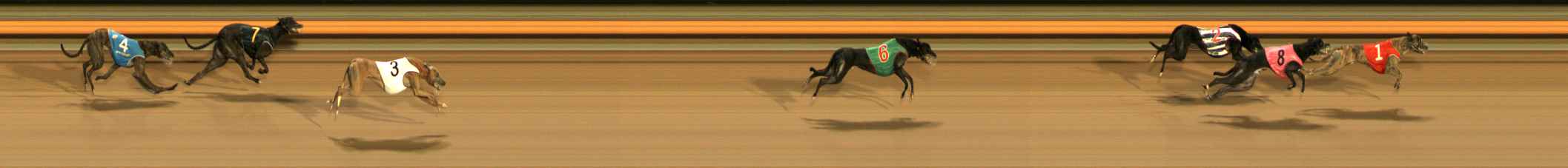 Photo finish for Ballarat Race 13
