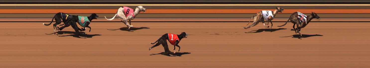 Photo finish for Ballarat Race 1