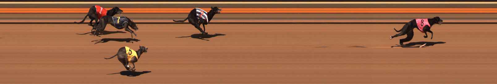 Photo finish for Ballarat Race 2