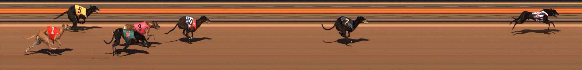 Photo finish for Ballarat Race 4