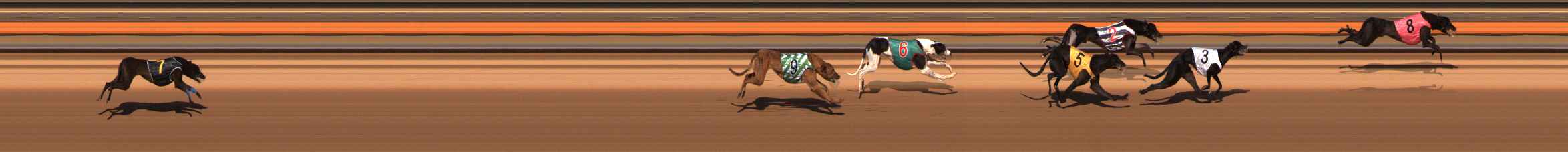 Photo finish for Ballarat Race 5