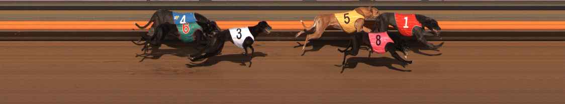 Photo finish for Ballarat Race 8