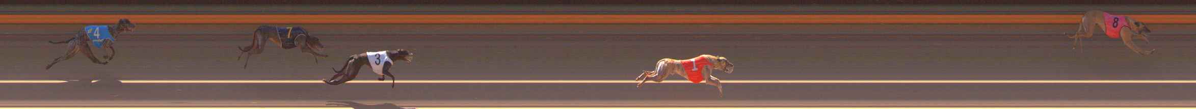 Photo finish for Ballarat Race 1