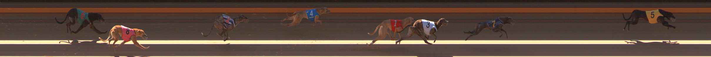 Photo finish for Ballarat Race 2