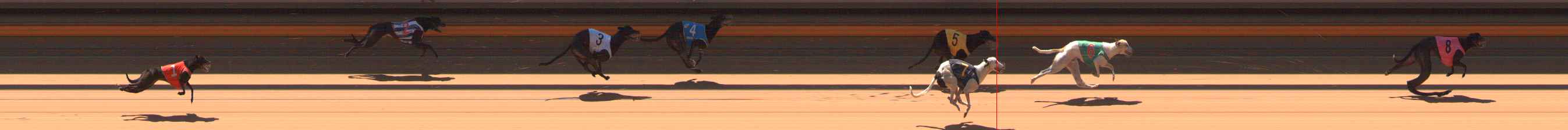 Photo finish for Ballarat Race 4