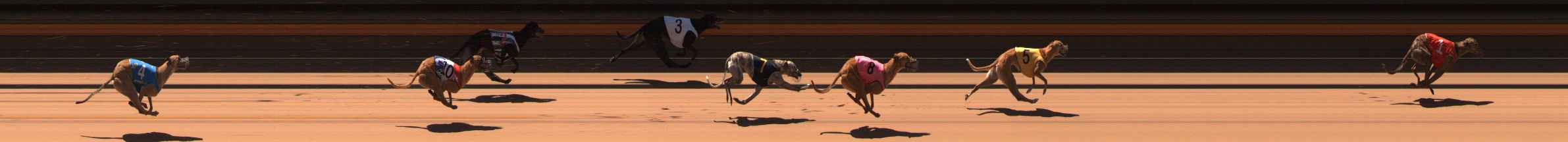 Photo finish for Ballarat Race 5