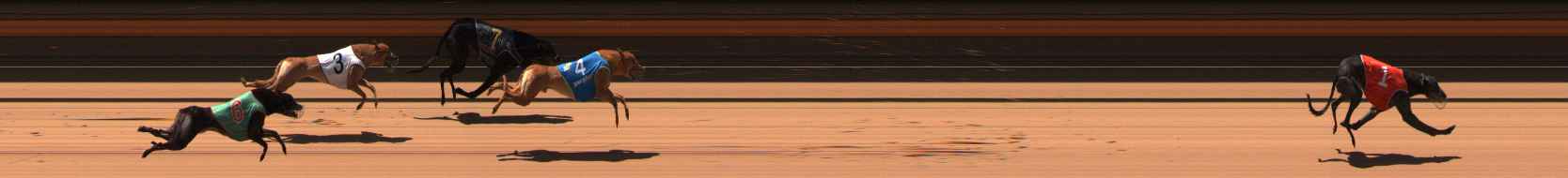 Photo finish for Ballarat Race 6