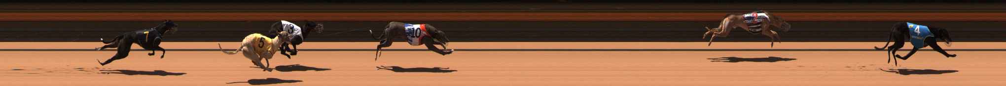 Photo finish for Ballarat Race 7
