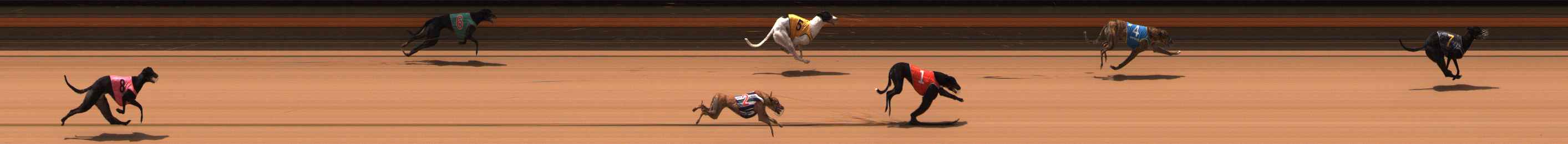 Photo finish for Ballarat Race 8
