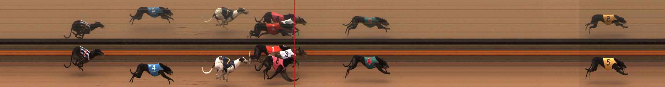 Photo finish for Ballarat Race 10