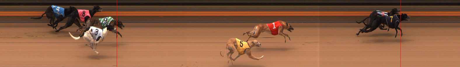Photo finish for Ballarat Race 11