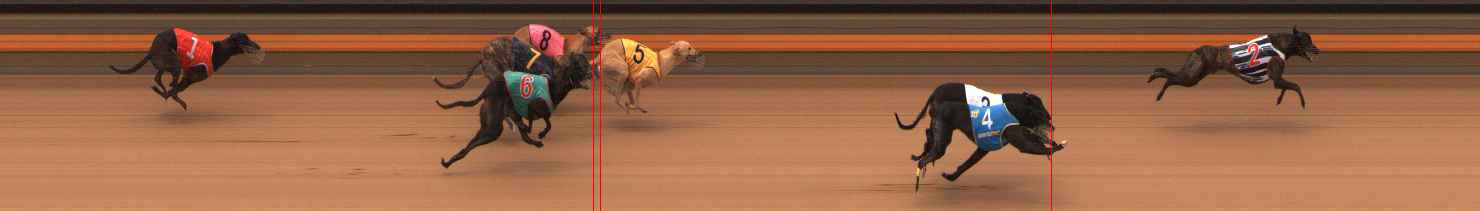 Photo finish for Ballarat Race 12