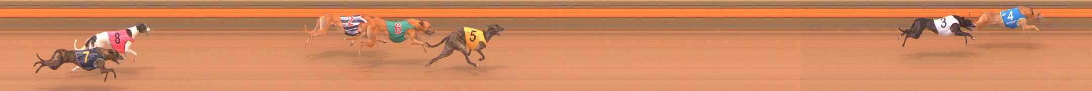 Photo finish for Ballarat Race 1