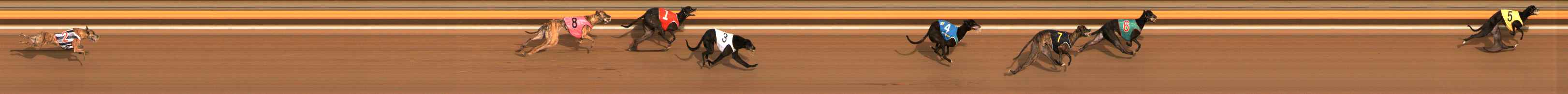 Photo finish for Ballarat Race 10
