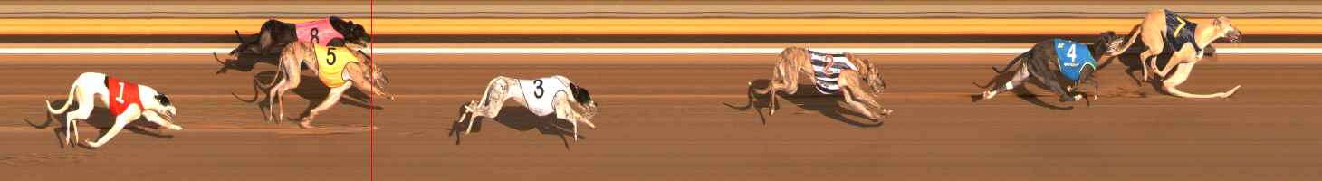 Photo finish for Ballarat Race 11