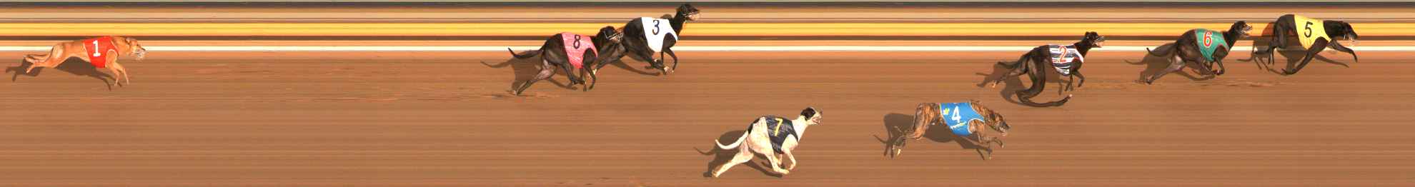 Photo finish for Ballarat Race 12