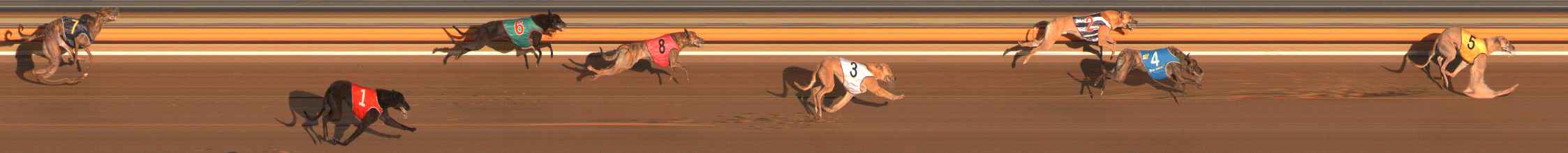 Photo finish for Ballarat Race 2