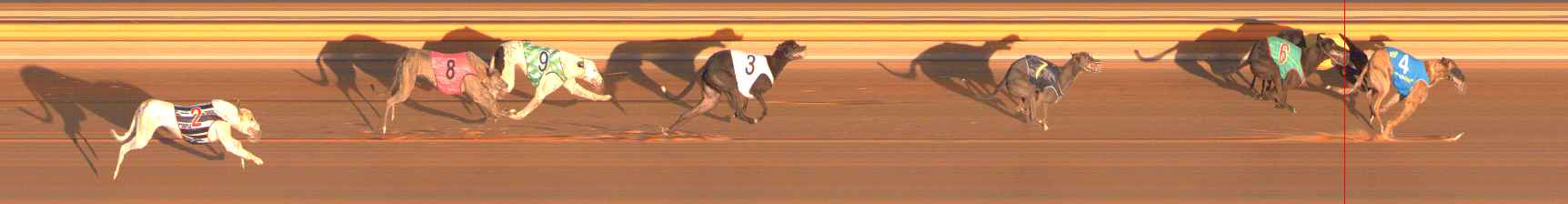 Photo finish for Ballarat Race 4