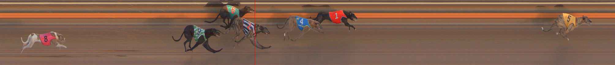 Photo finish for Ballarat Race 5