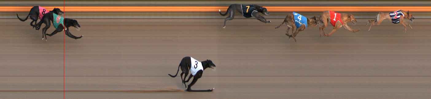 Photo finish for Ballarat Race 6