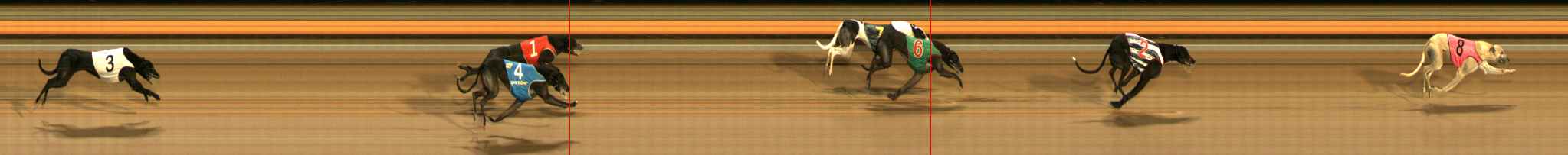 Photo finish for Ballarat Race 10