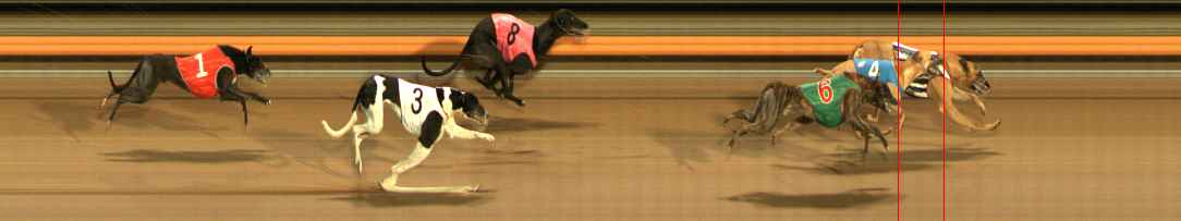 Photo finish for Ballarat Race 12