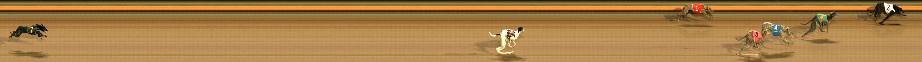 Photo finish for Ballarat Race 14