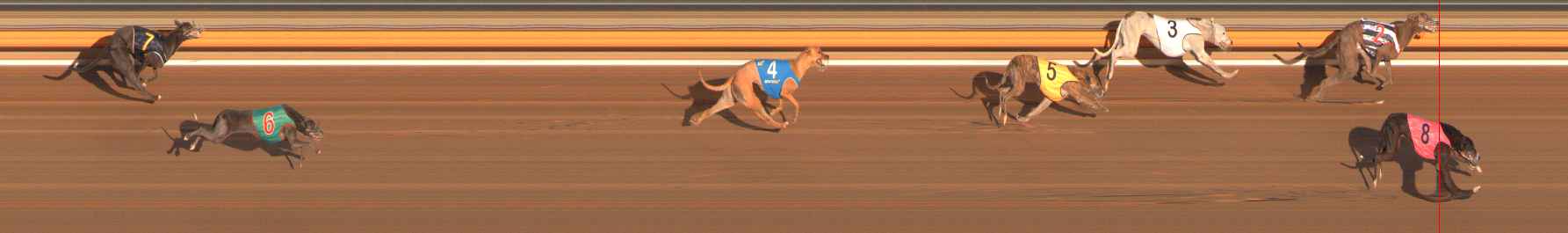 Photo finish for Ballarat Race 2