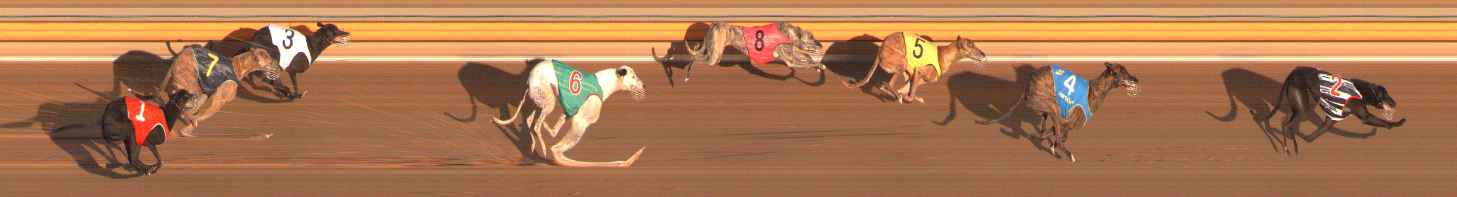 Photo finish for Ballarat Race 3