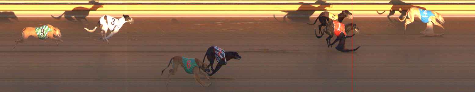 Photo finish for Ballarat Race 5
