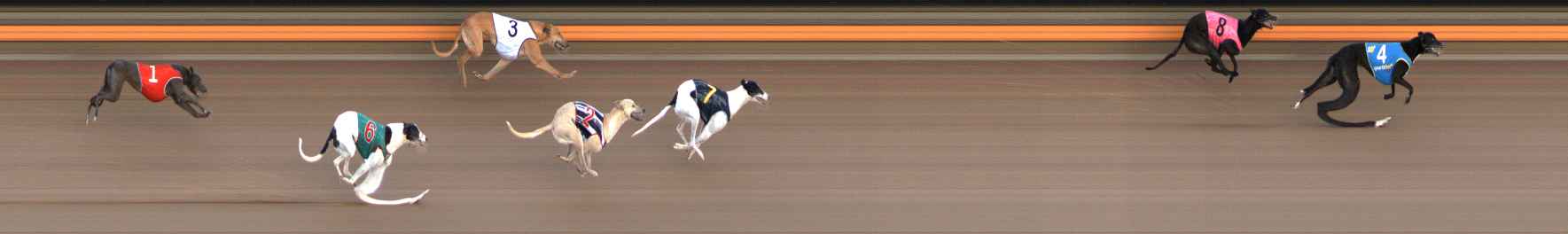 Photo finish for Ballarat Race 7