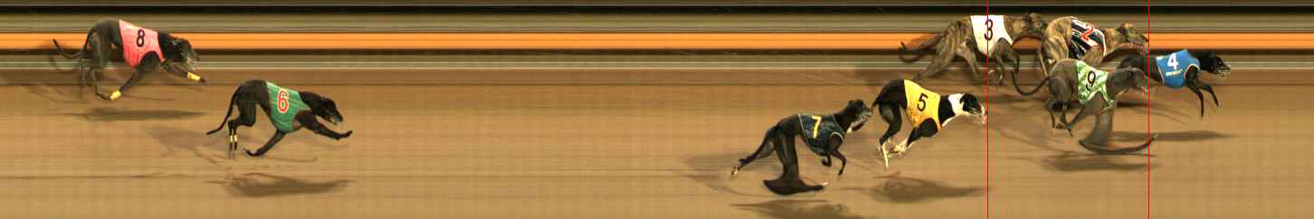 Photo finish for Ballarat Race 12