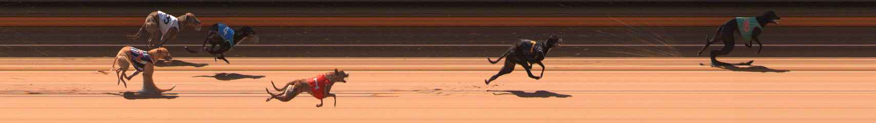 Photo finish for Ballarat Race 2