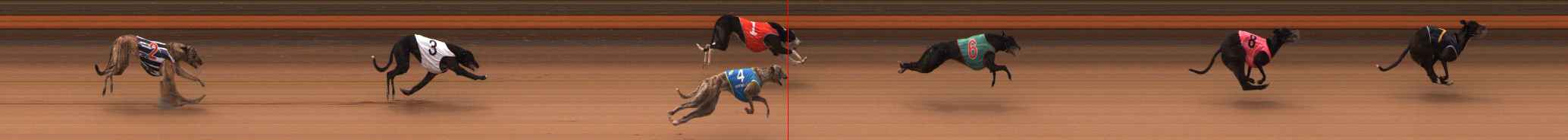 Photo finish for Ballarat Race 5