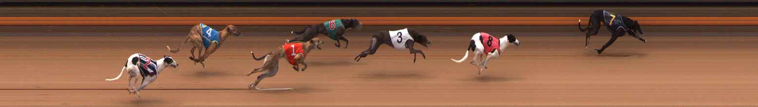 Photo finish for Ballarat Race 6