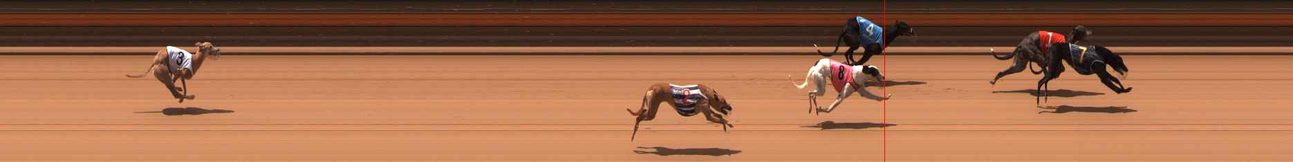 Photo finish for Ballarat Race 7