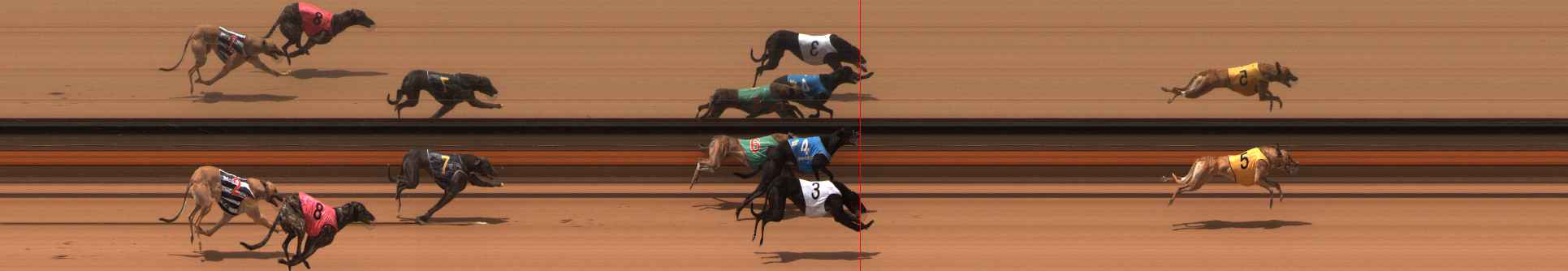 Photo finish for Ballarat Race 9