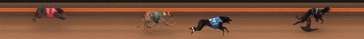 Photo finish for Ballarat Race 10