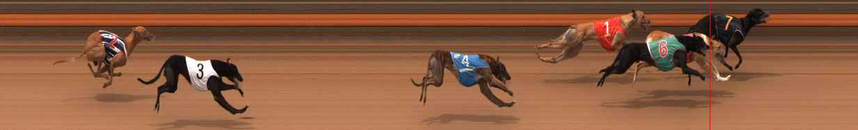 Photo finish for Ballarat Race 11