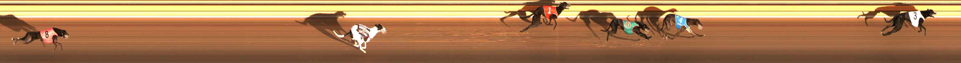 Photo finish for Ballarat Race 4