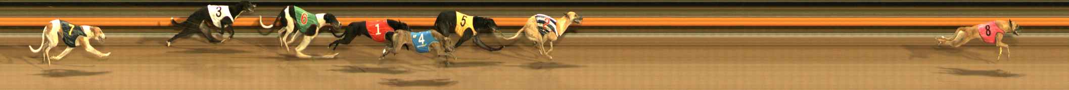 Photo finish for Ballarat Race 8