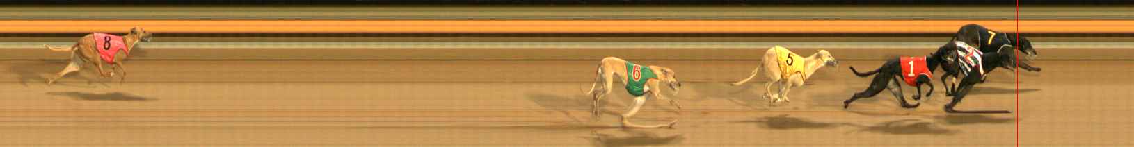 Photo finish for Ballarat Race 12