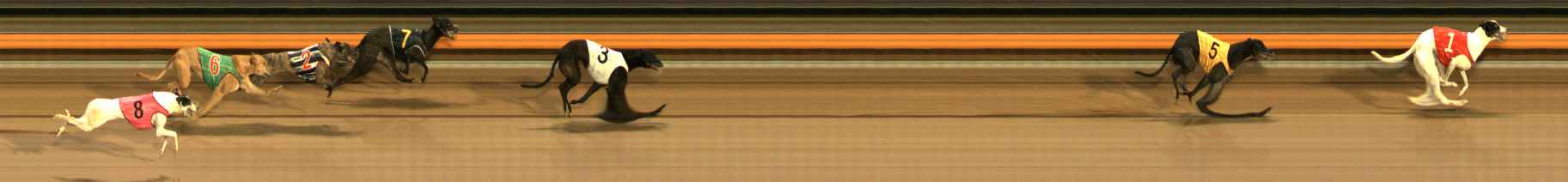 Photo finish for Ballarat Race 14