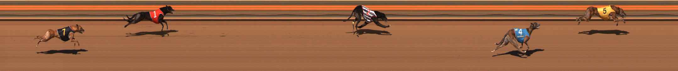 Photo finish for Ballarat Race 3