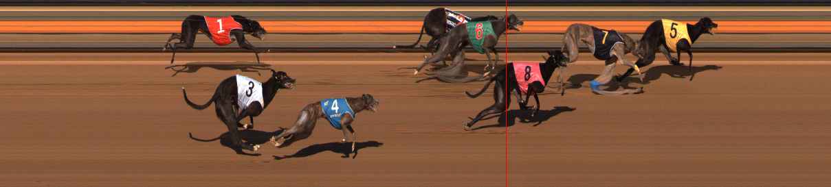 Photo finish for Ballarat Race 5